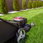 Green Lawns: The Best Practices to Taking Care of Your Yard