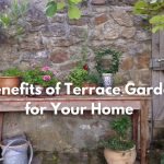 6 benefits of Terrace Garden For your Home