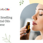 Best Smelling Essential Oils for Home