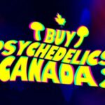 Shop – Buy Psychedelics Canada