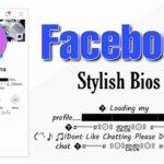 Facebook vip stylish bio